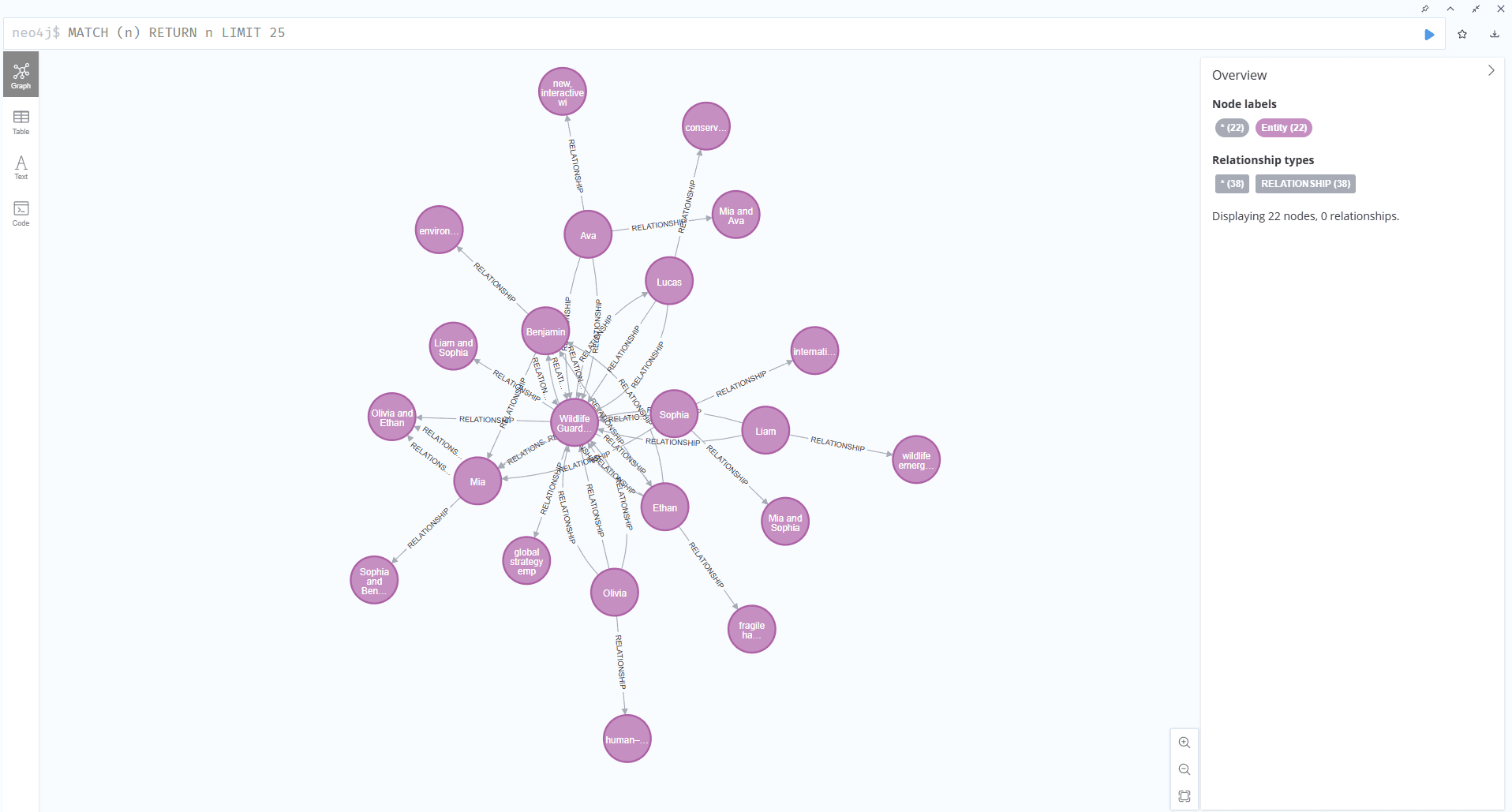 Neo4j Browser Interface